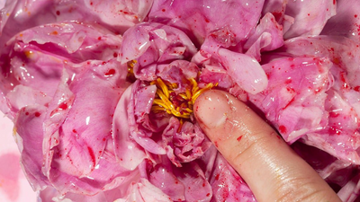 Your vagina's pH level: what it is and how to keep it balanced