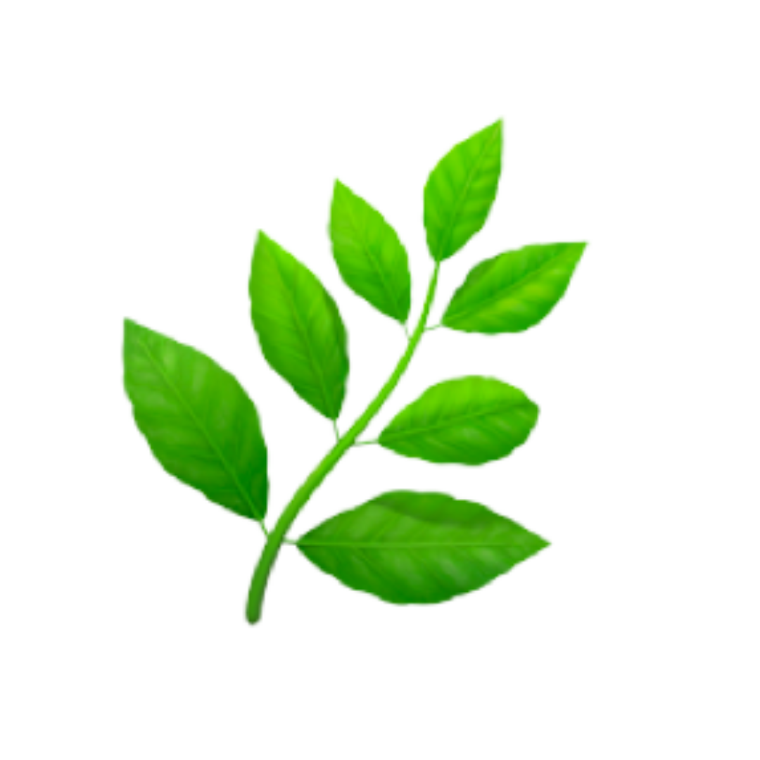 Fresh green leaves representing natural skincare and clean ingredients for effective skin routines.