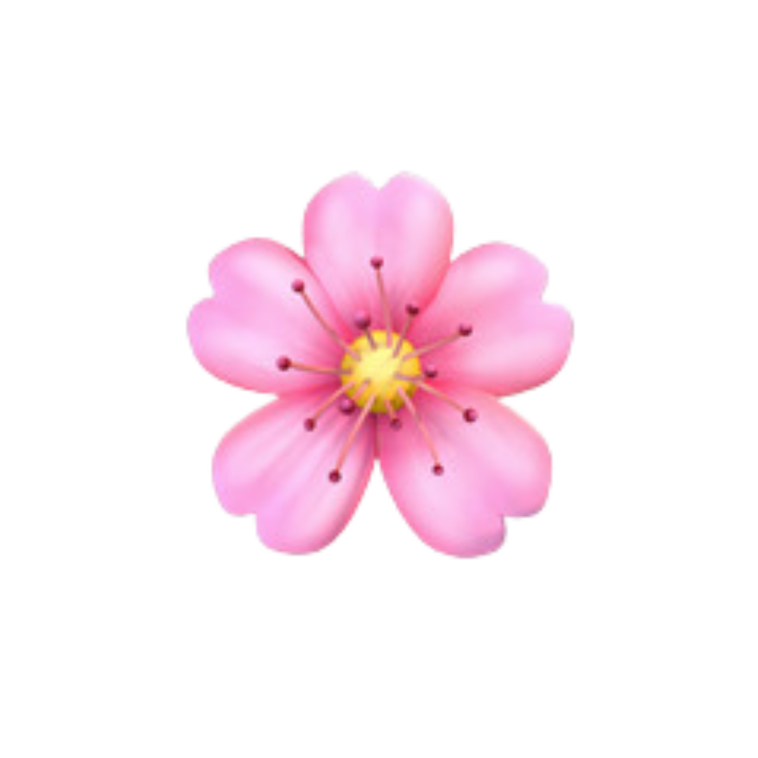 Pink flower symbolizing natural skincare, representing soothing and nourishing ingredients for skin routines.